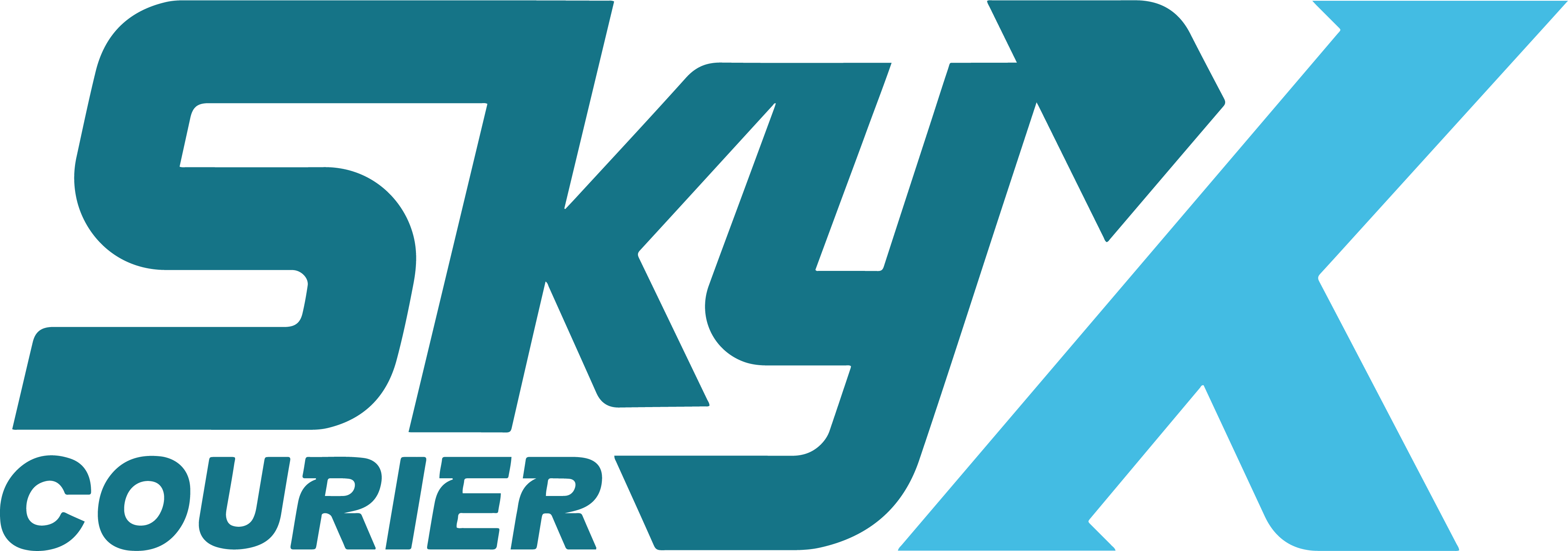 SkyX || Trusted Delivery Partner